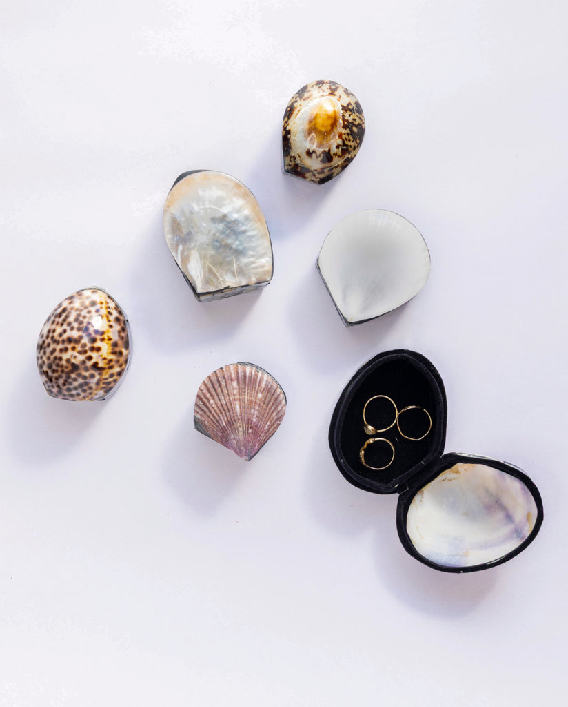 Shell Jewelry Box– The Cove Collection