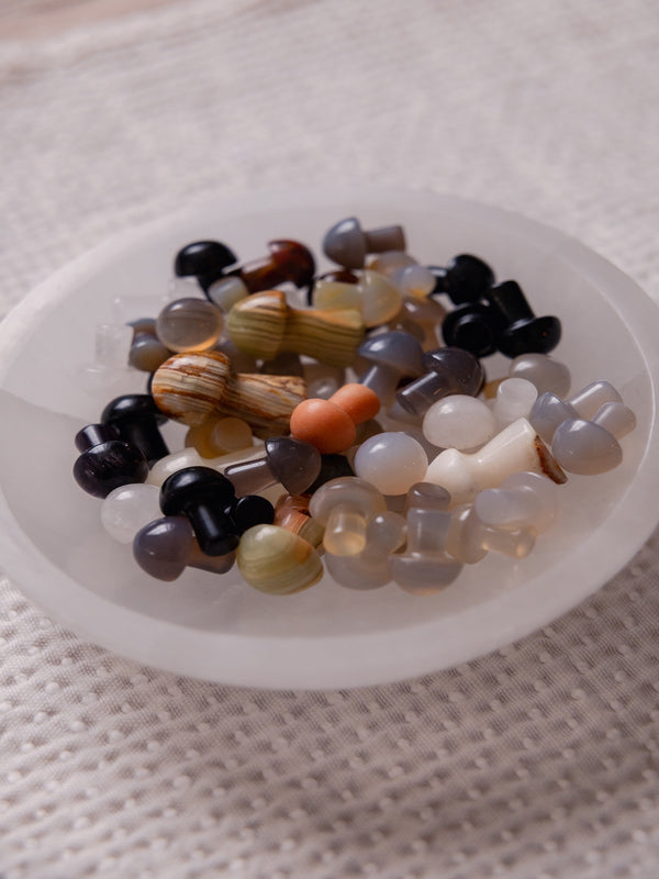 Mini Crystal Mushroom - AHG356