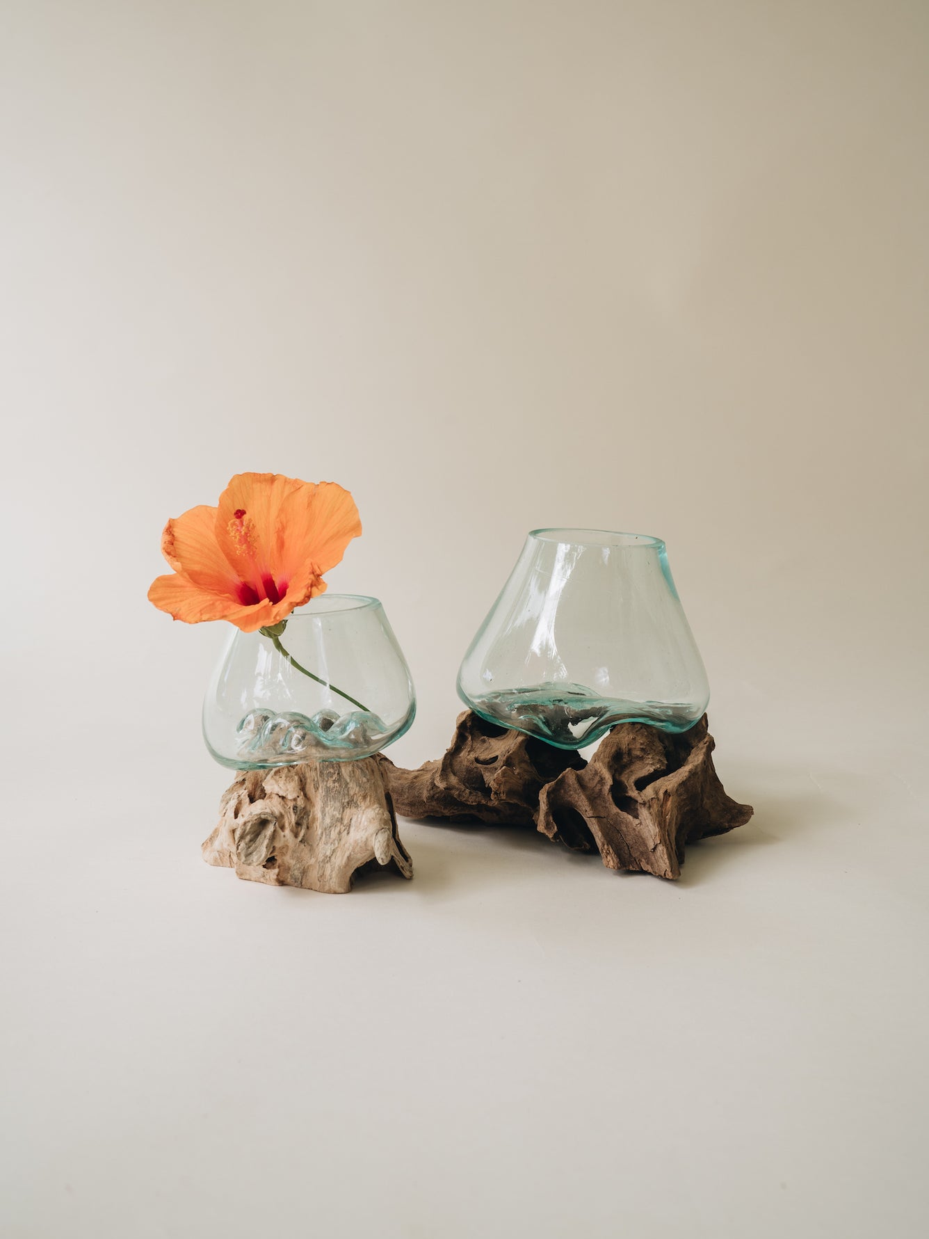 Blown Glass & Driftwood Vase The Cove Collection
